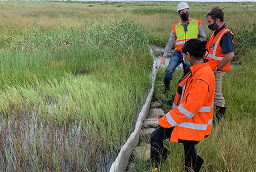 Anglo American Leveraging NatureMetrics ‘eDNA’ Solution to Improve Biodiversity Knowledge at Woodsmith