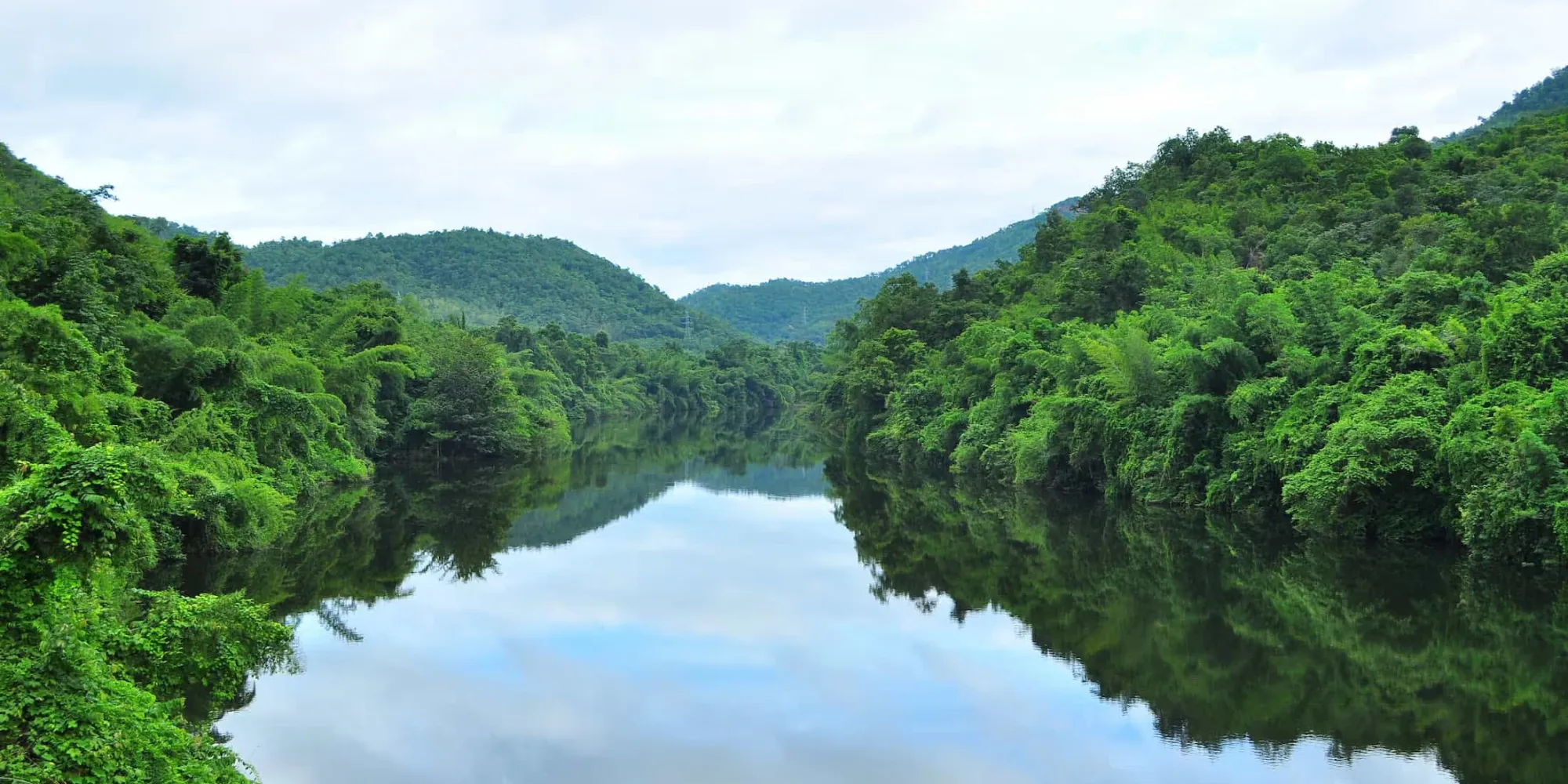 Breakthrough Tech Collaboration Enables Rainforest Biodiversity to be Monitored Remotely