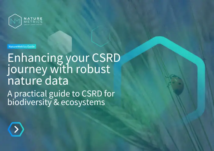 A Practical Guide to the CSRD's biodiversity requirements (ESRS E4)