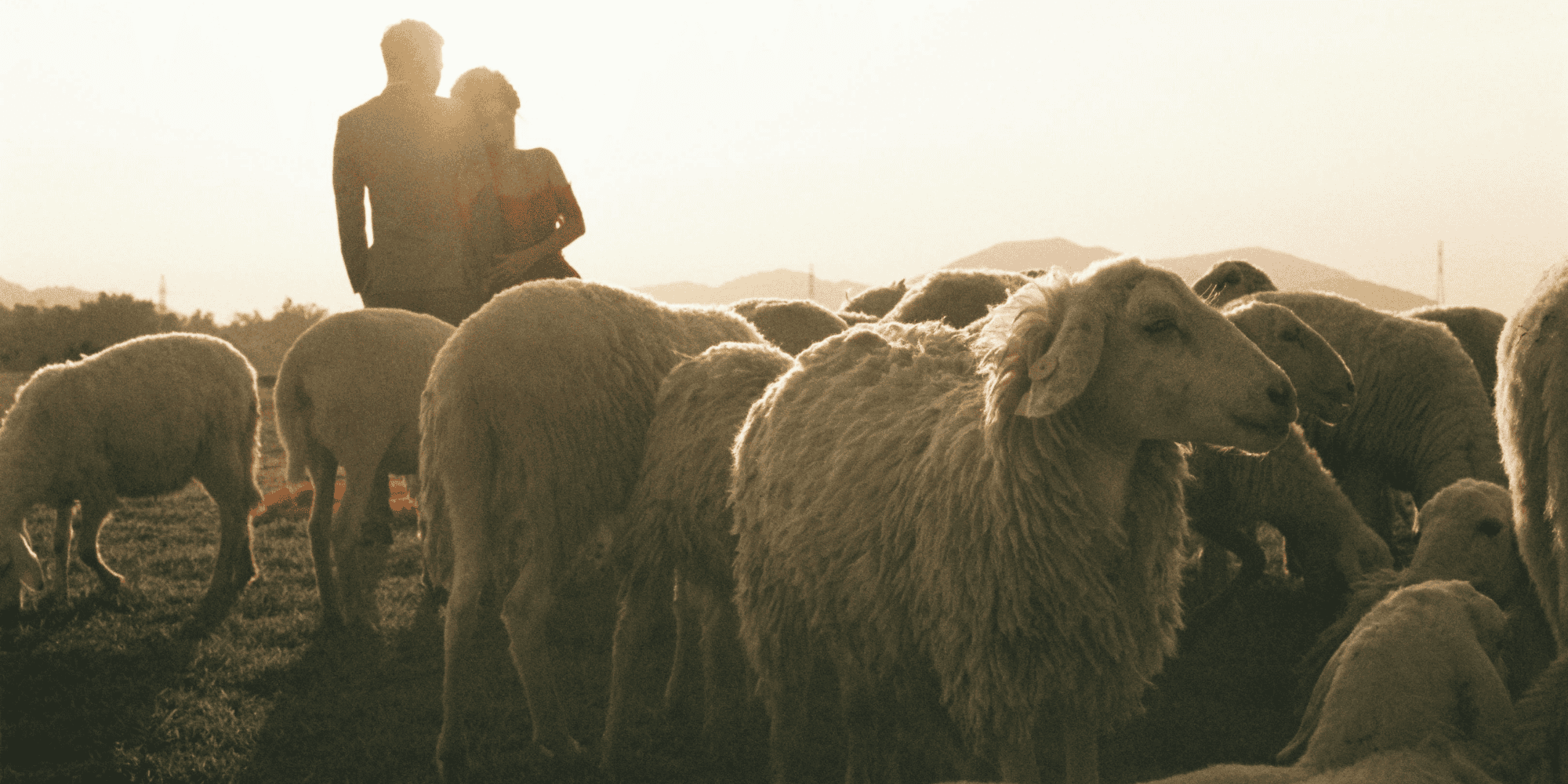 The Nature-Positive Future of Fashion: From Reduction to Regeneration