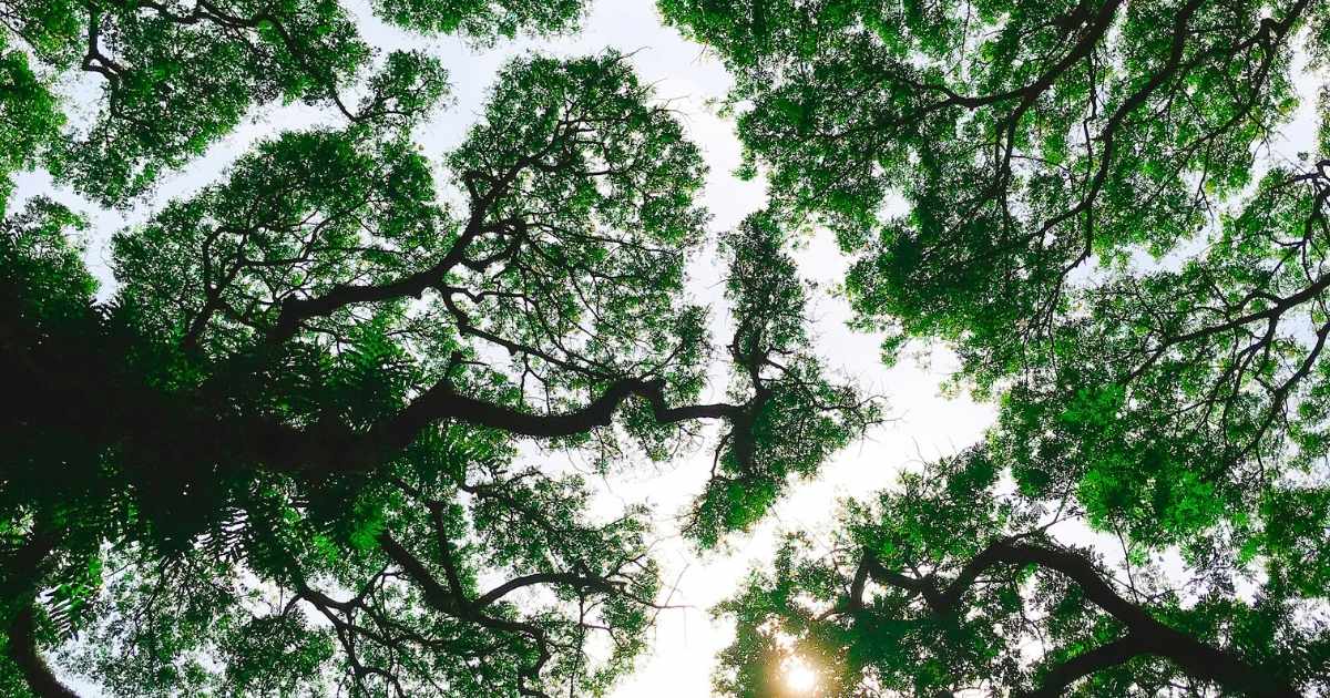 From Indicators to Action 