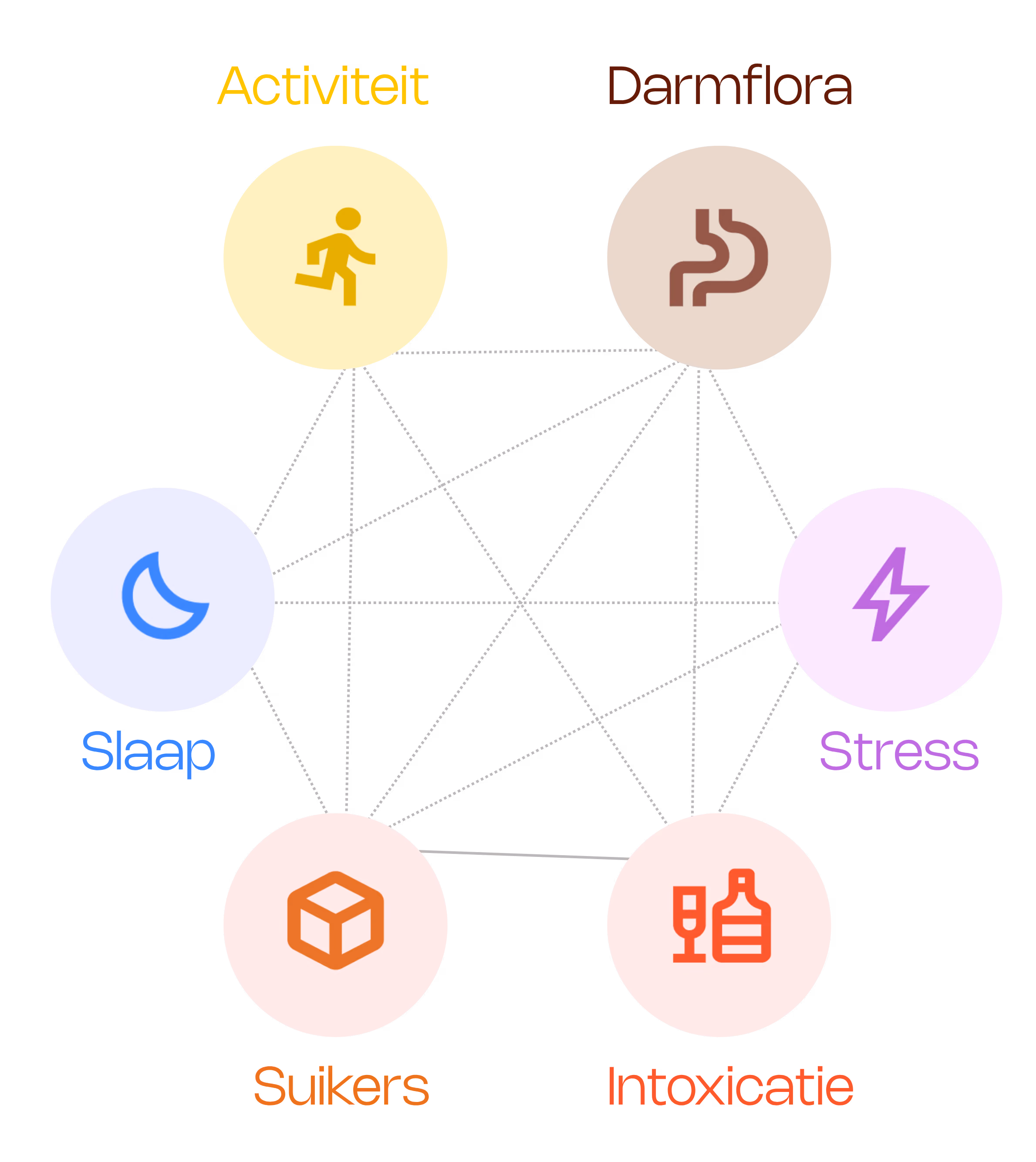 Diagram with connected circles labeled Activiteit, Darmflora, Slaap, Stress, Suikers, and Intoxicatie with related icons.