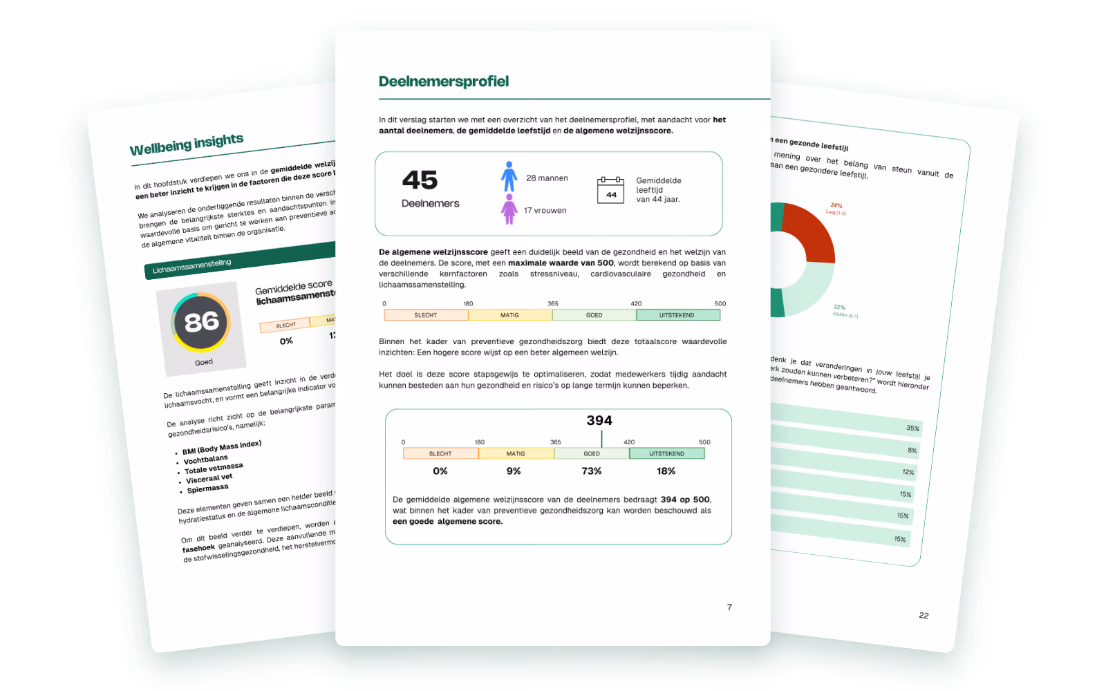 Voorbeeld van het geanonimiseerde rapport voor de organisatie