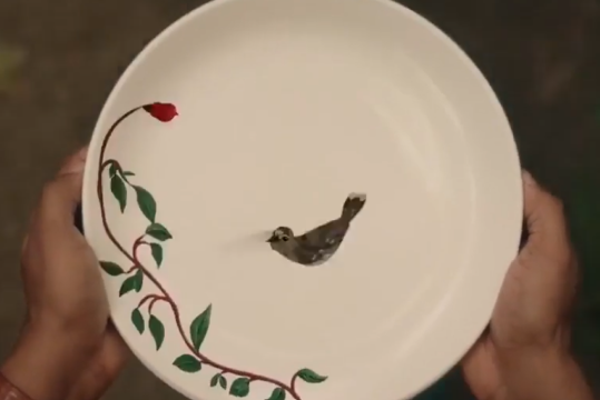 site profile thumbnail