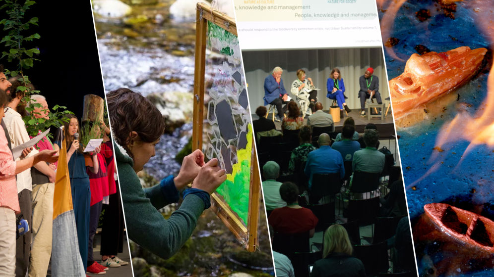 Festival internacional ‘The Nature of Cities’ llegará a Colombia con apoyo del Instituto Humboldt 