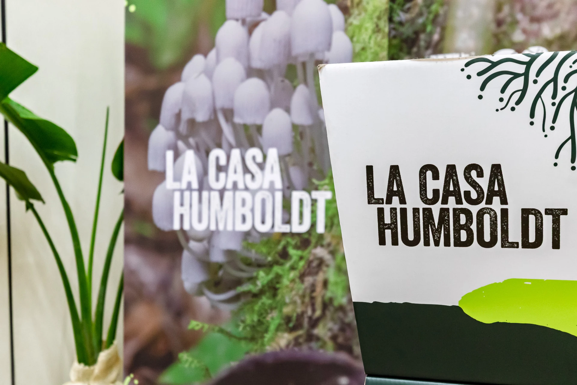 Participación destacada de La Casa Humboldt durante la Semana de la Biodiversidad