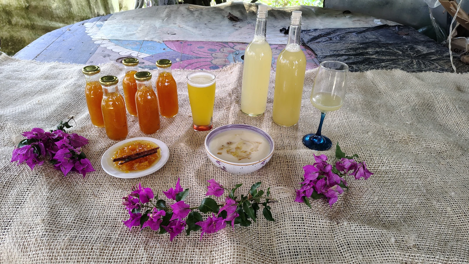 Noticias Intituto Humboldt