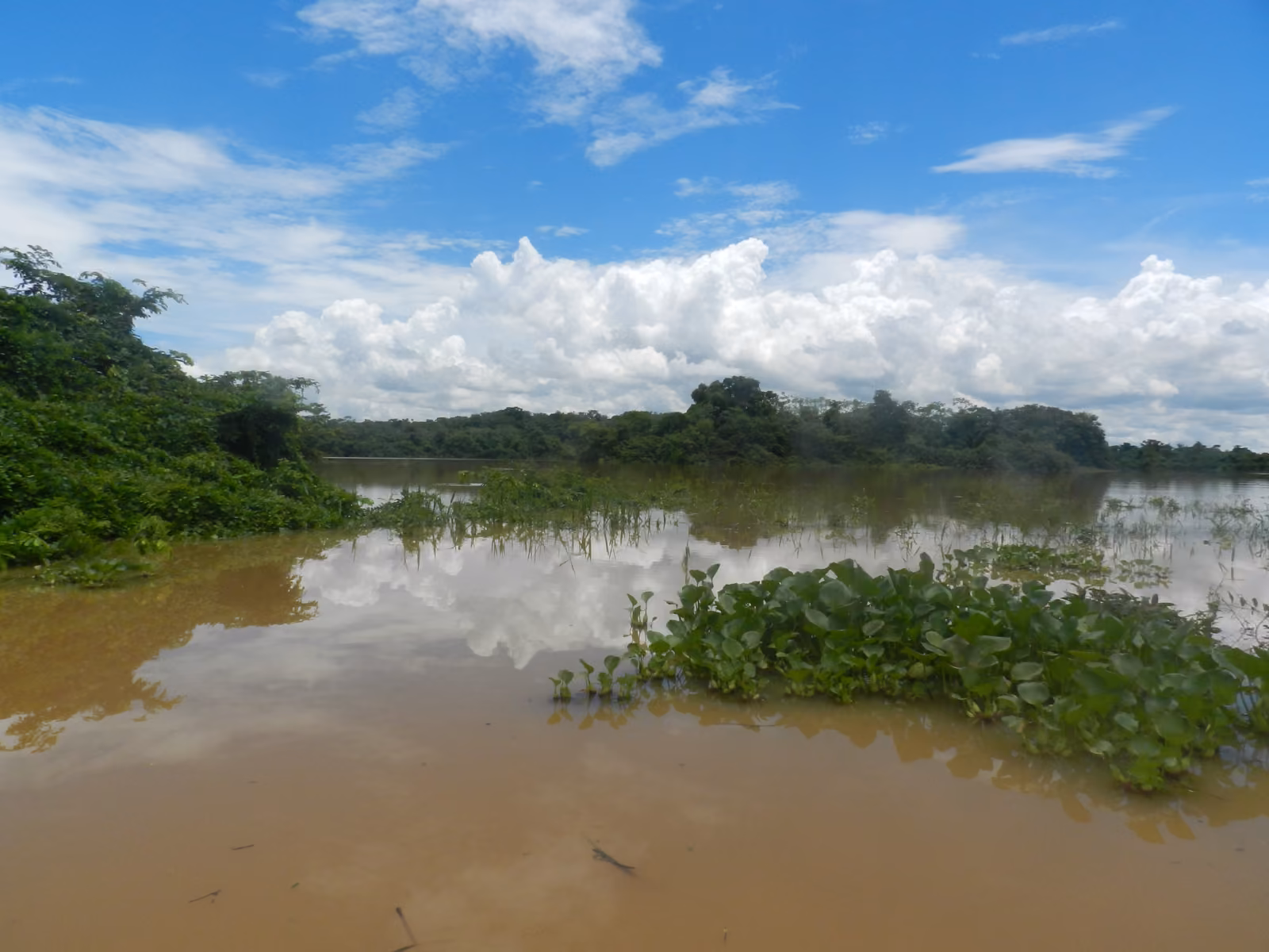 Conocer, priorizar y proteger: avances en la gestión ambiental del Bajo Cauca y Sur de Bolívar