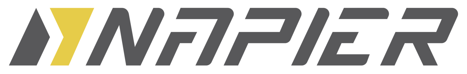 Company logo of Napier AS