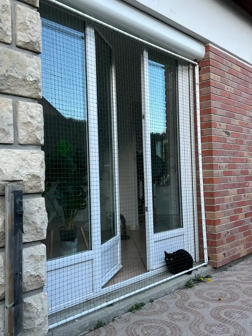 Une porte-fenêtre en verre blanc avec un filet de protection devant, un chat noir assis sur le seuil extérieur.