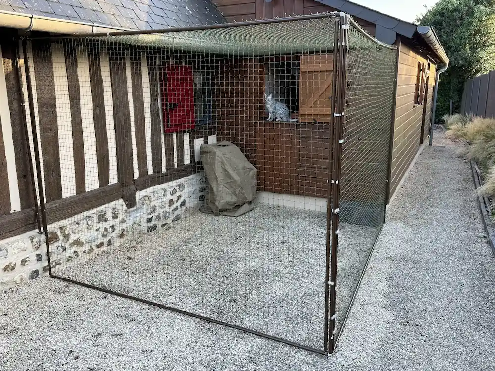 Enclos extérieur grillagé devant une maison à colombages où un chat gris tacheté est assis sur le rebord d'une fenêtre en bois ouverte.