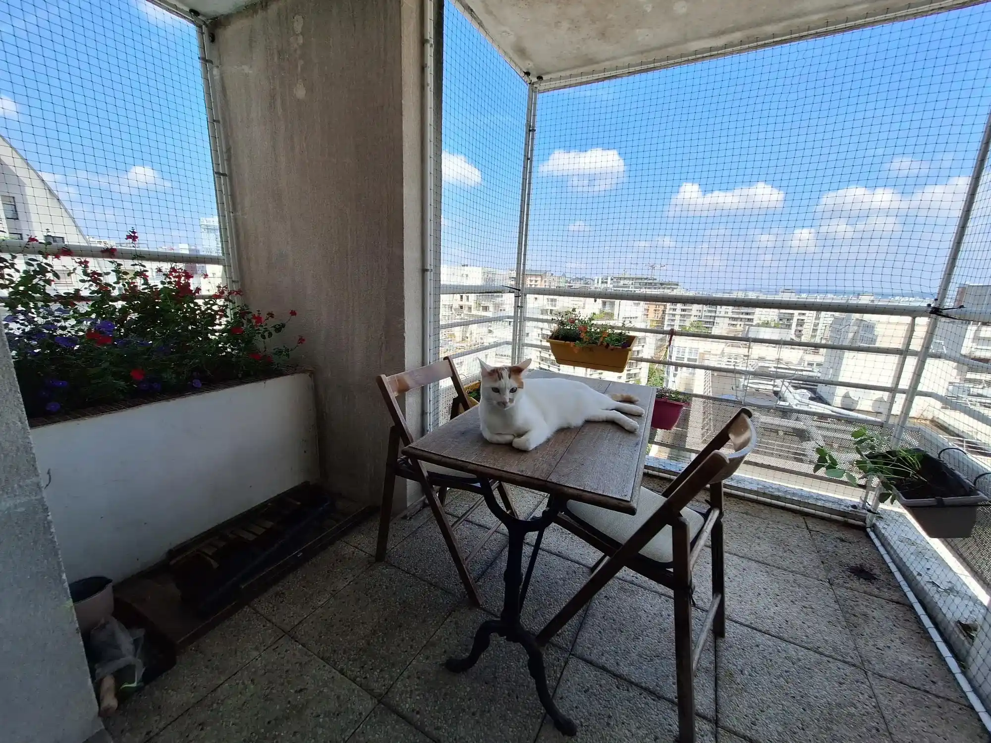 Chat blanc avec des taches brunes allongé sur une table en bois sur un balcon avec chaises et jardinières suspendues.