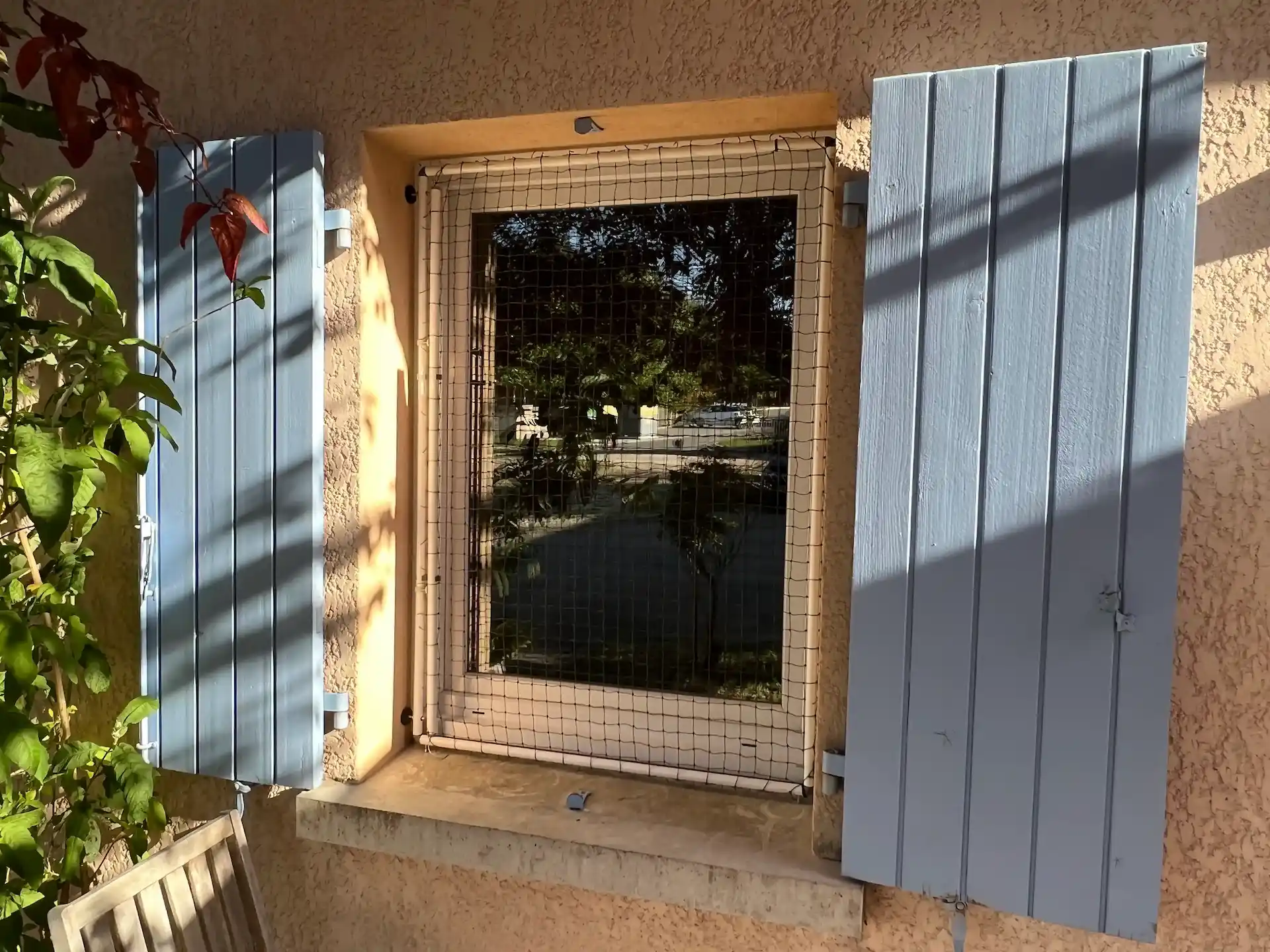 Fenêtre beige avec volets bleus ouverts et filet de protection, avec des plantes vertes à gauche.