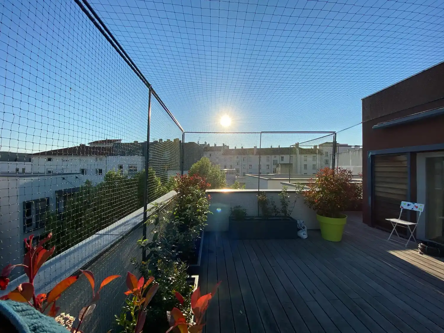 Terrasse sur le toit avec plantes en pots, filet de protection, chaise pliante et soleil bas sur un ciel bleu clair.