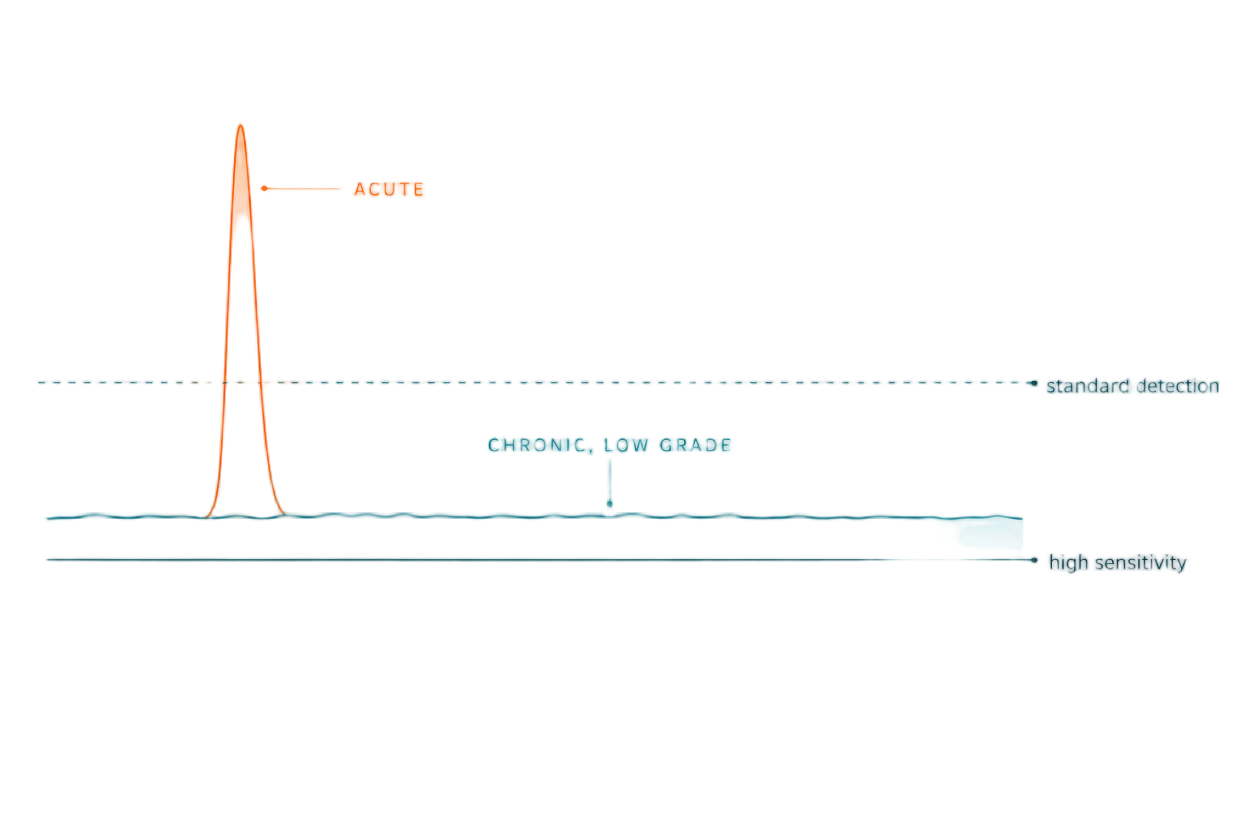A brief acute inflammation spike beside a long low-grade signal only the high sensitivity test detects