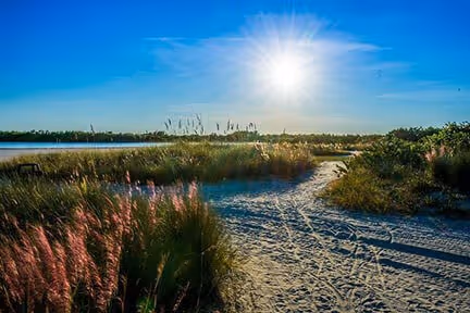 MORE REASONS TO MOVE TO FLORIDA!