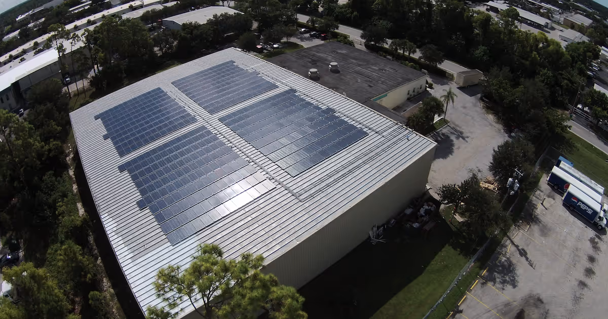 3 THINGS TO DO THIS WEEKEND FOR A MORE SUSTAINABLE MOVE