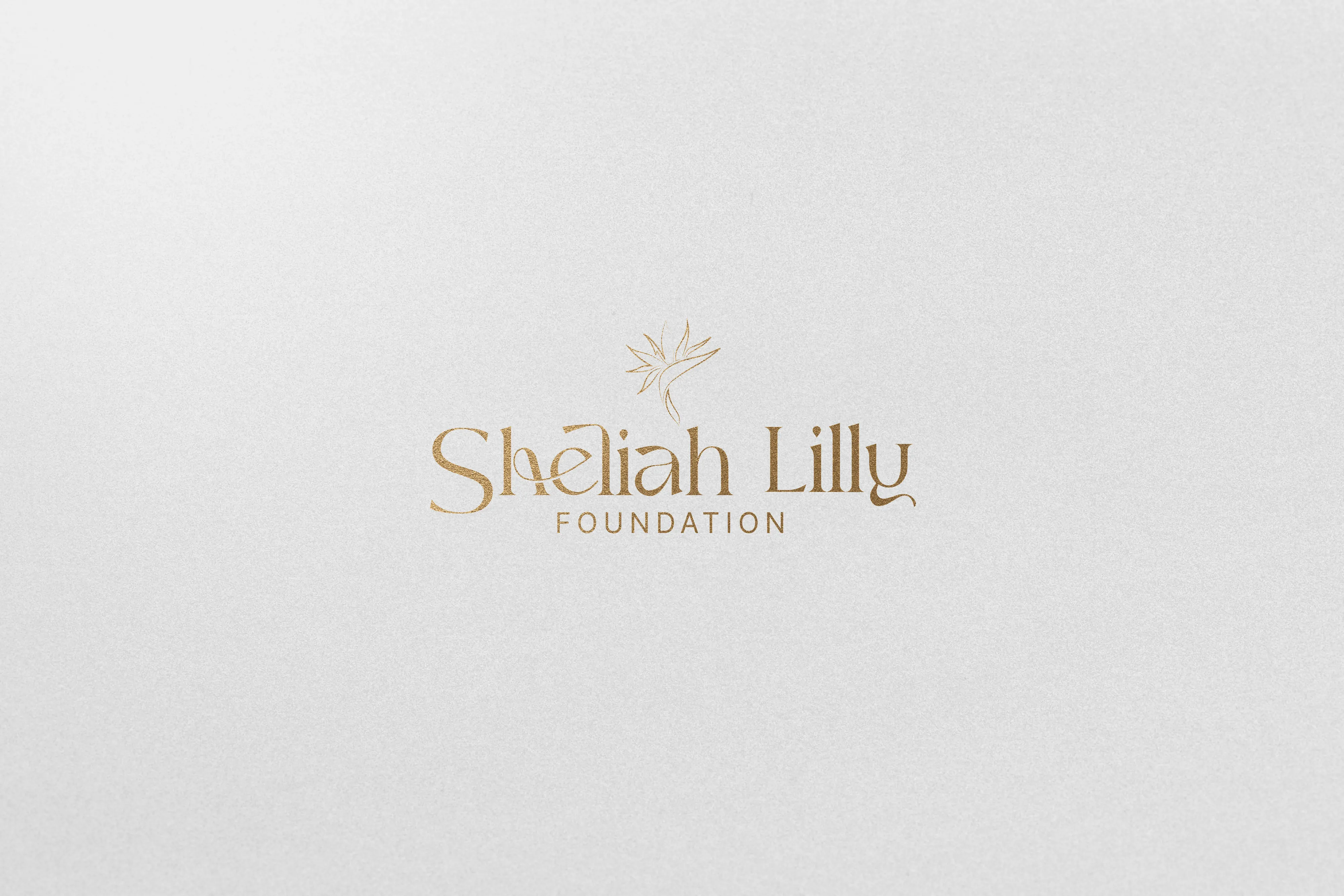 Brand identity
Brand identity design
Brand identity design services
Brand logo design services
Packaging design services
Custom packaging design
Product packaging design
Brand design
Brand design services