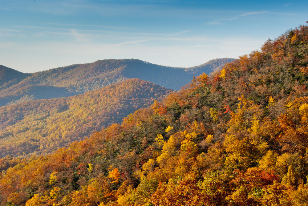Georgia