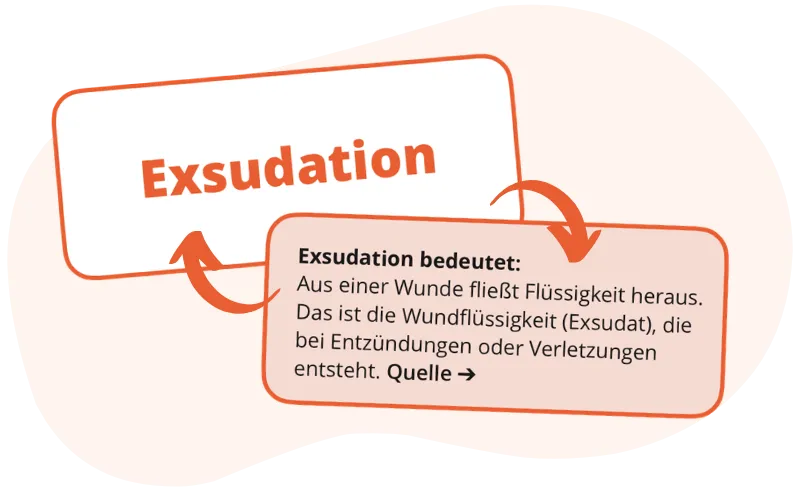 Grafik für Fachsprachenunterstützung in der Lernwelt SuperNurse