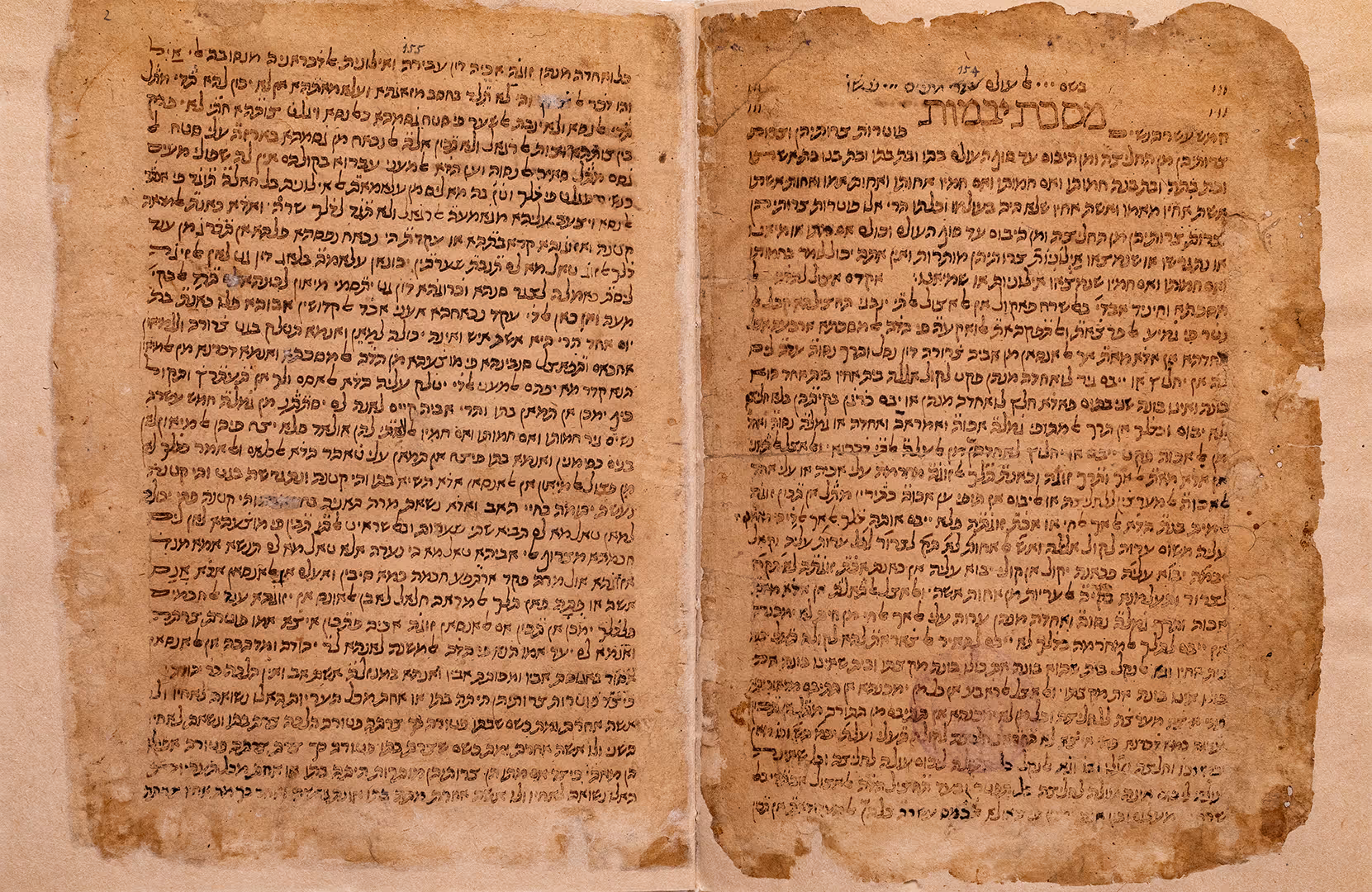 A Rare Treasure: The Work of Maimonides, in His Own Handwriting