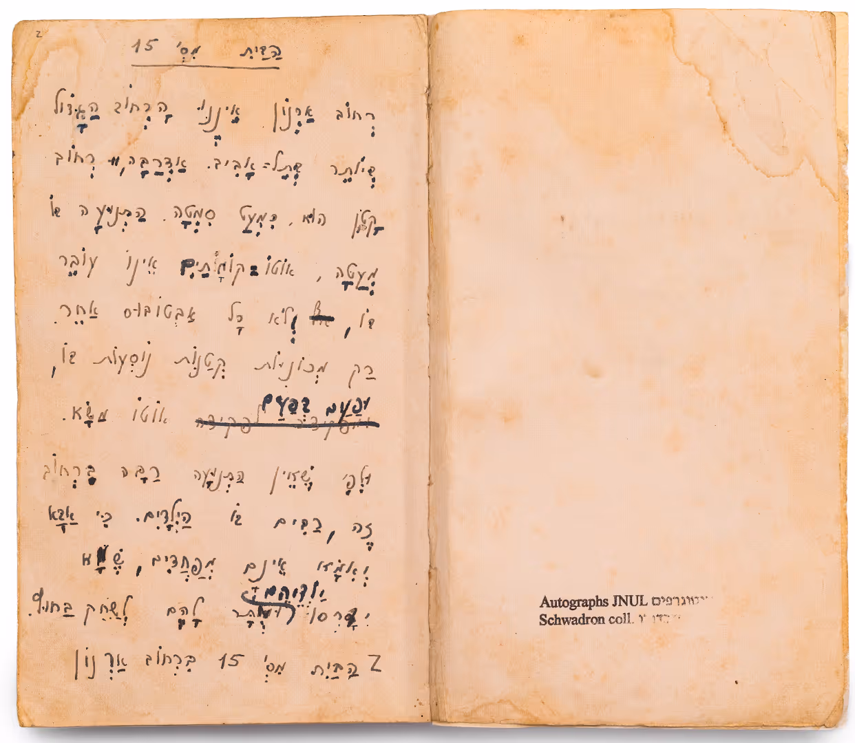 A Rare Glimpse Into the Fantastic World of Lea Goldberg