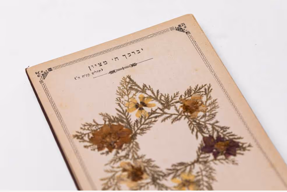 פרחי ארץ הקדושה: פרחים טבעיים מאוספים מהמקומות היותר קדושים בארץ ישראל, ירושלים, 1896