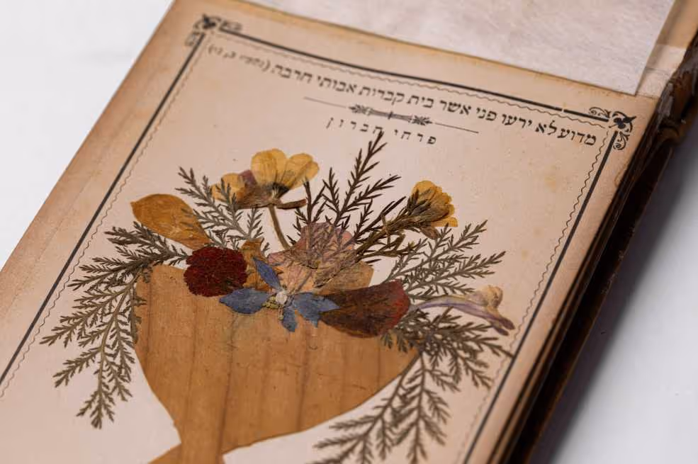 אספת פרחים וציורי מקומות הקדושים בארץ הקדש, ירושלים, תר"פ (1920)