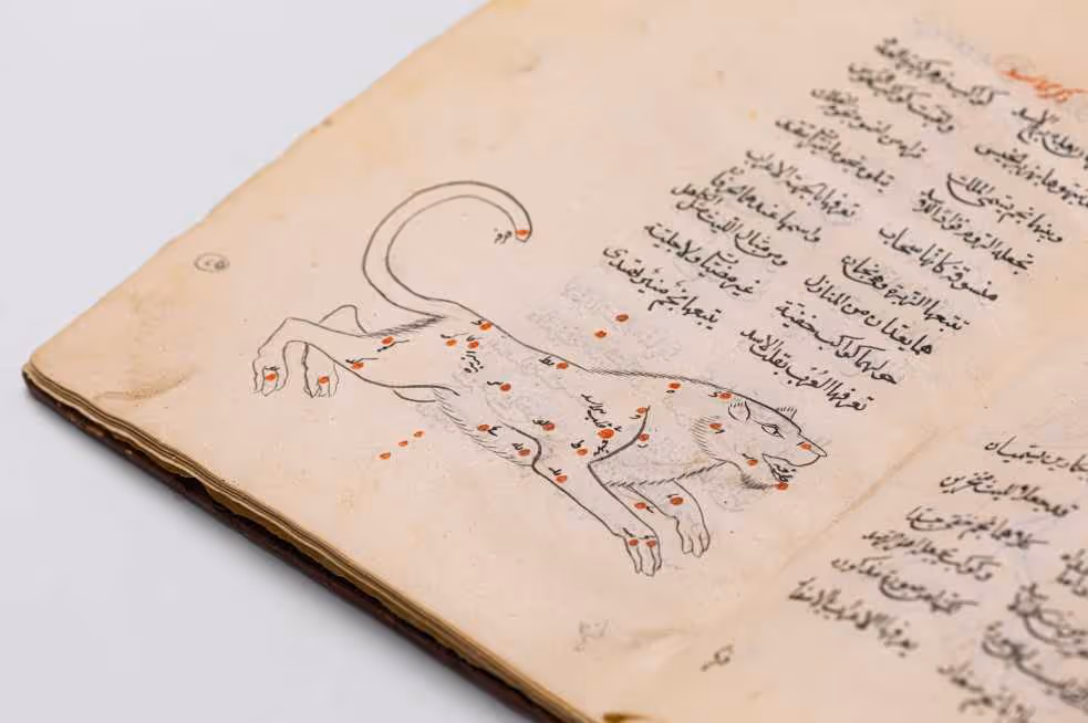 שיר על צורותיהם של כוכבי השבת, אספהאן, 1717