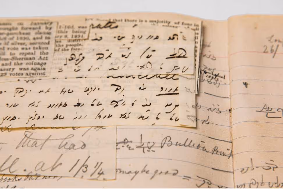 פנקס לימוד עסקי המשפחה מאת פרחה־פלורה ששון, 1894