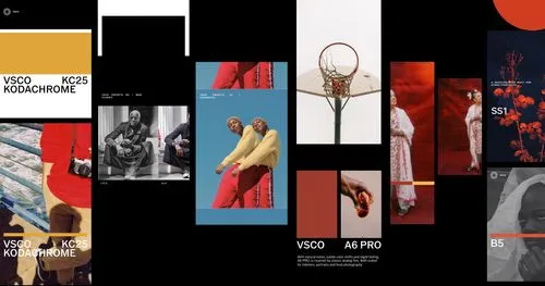 VSCO photo filters