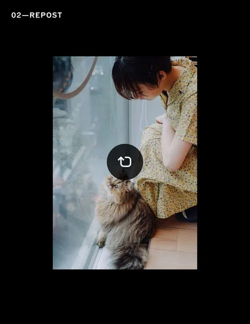 Repost icon overlaid on a picture of a woman and cat looking out a window
