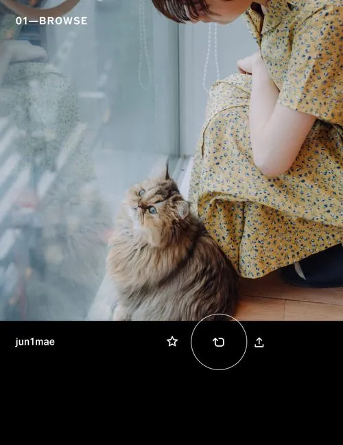Reposting button on VSCO to publish a photo of a woman and cat by junichi mae for photo inspiration