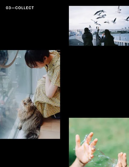 Collection of photo ideas of woman on dock feeding flying birds, a woman and cat, and hands holding tangled clear ribbon
