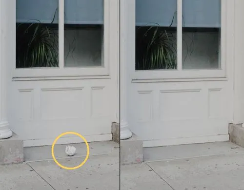 Before and after using VSCO's AI Remove tool to remove a ball of paper from outside window on the street