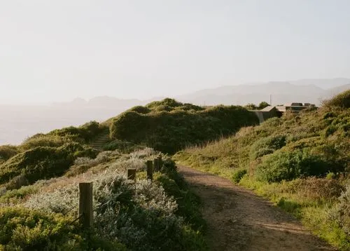 Walking path through green hills being discussed by VSCO community