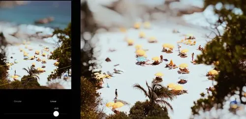 Yellow umbrellas and beachgoers through trees in the distance edited with VSCO blur photo editor