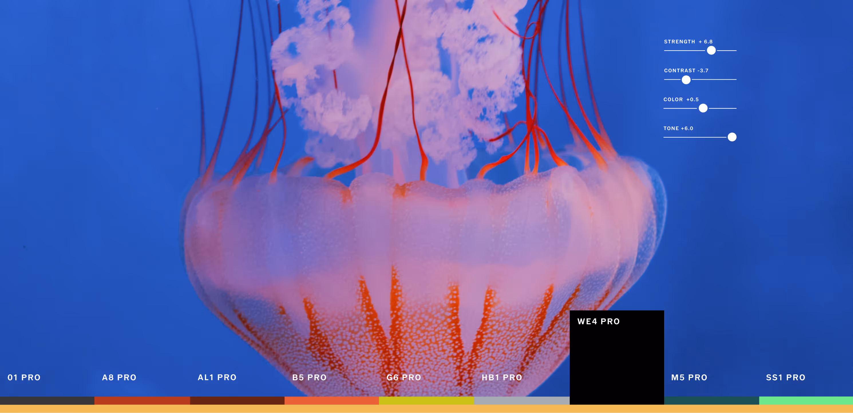 Bright pink jellyfish with blue background showing Pro Preset selection and controls on VSCO photo editing app