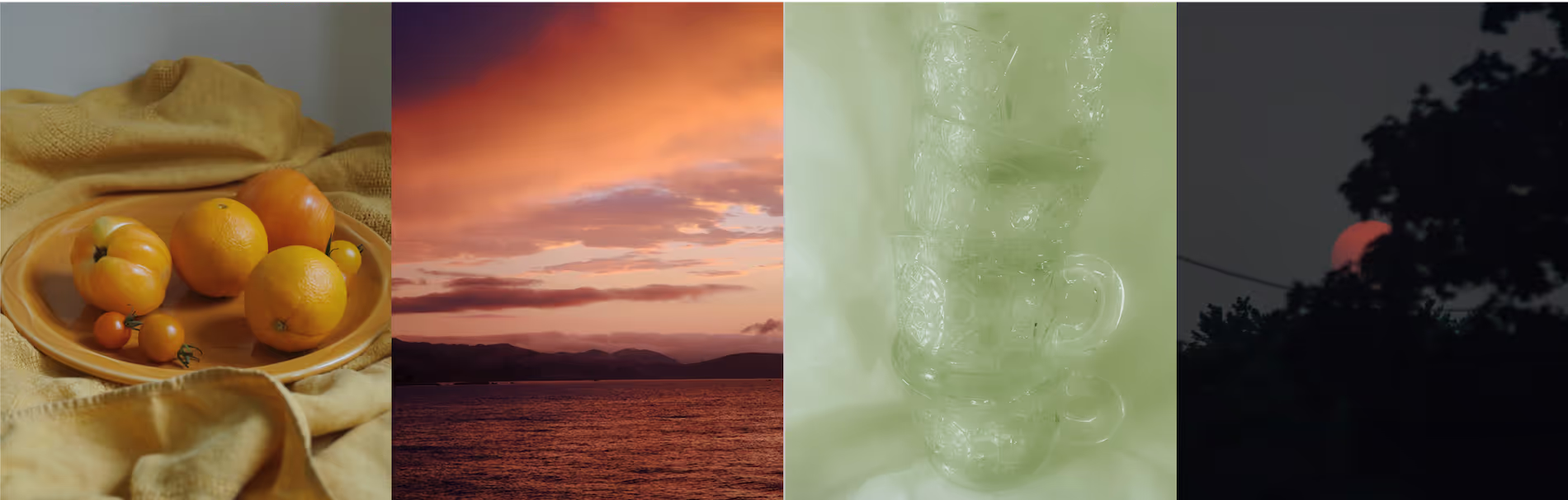Submissions from photographers on VSCO for the GLDN Brand Challenge