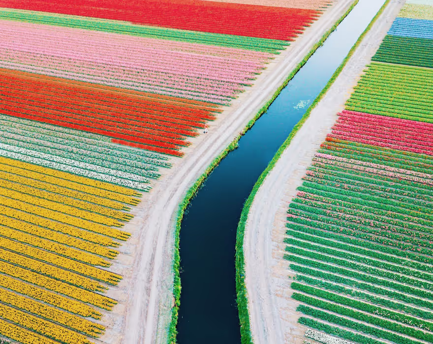 Ariel photo of a rainbow field
