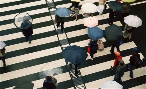 VSCO community - safety center