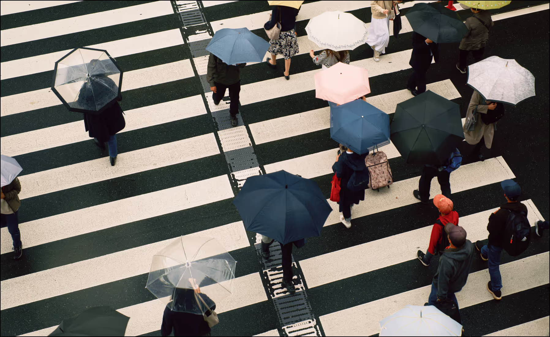 VSCO community - safety center