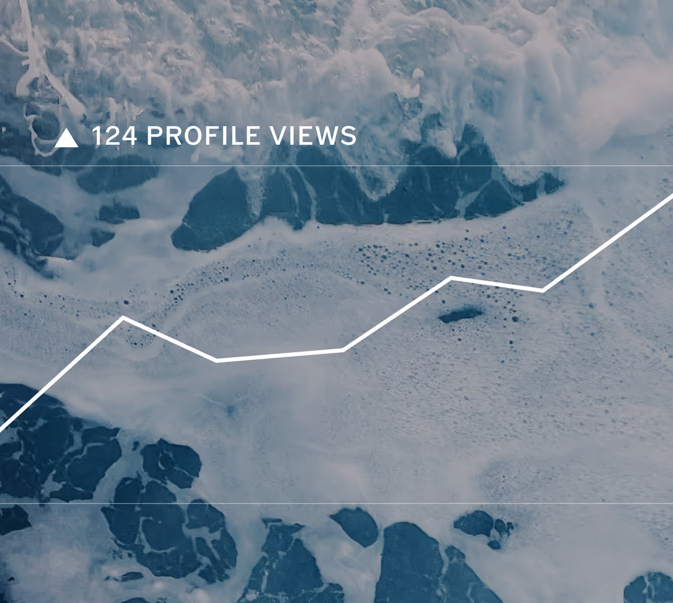 VSCO Profile views