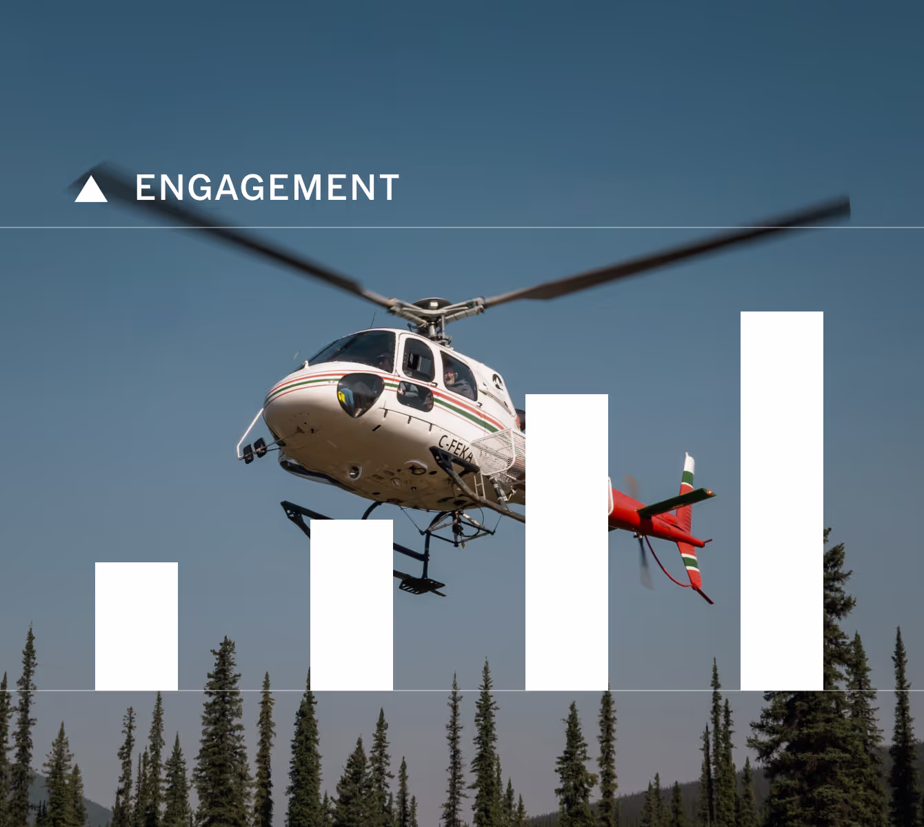 VSCO Profile engagement insights