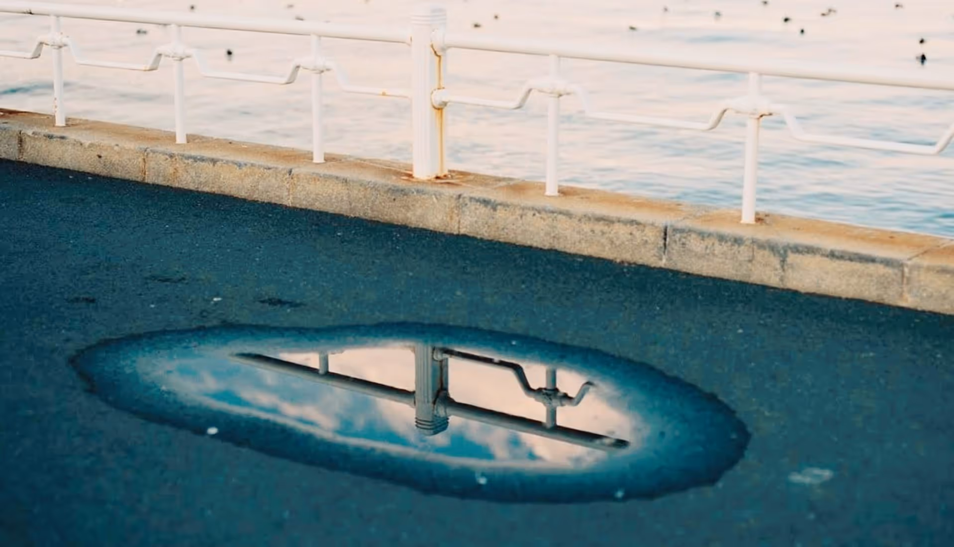 WE7 VSCO photo filter created with photographer Junichi Mae