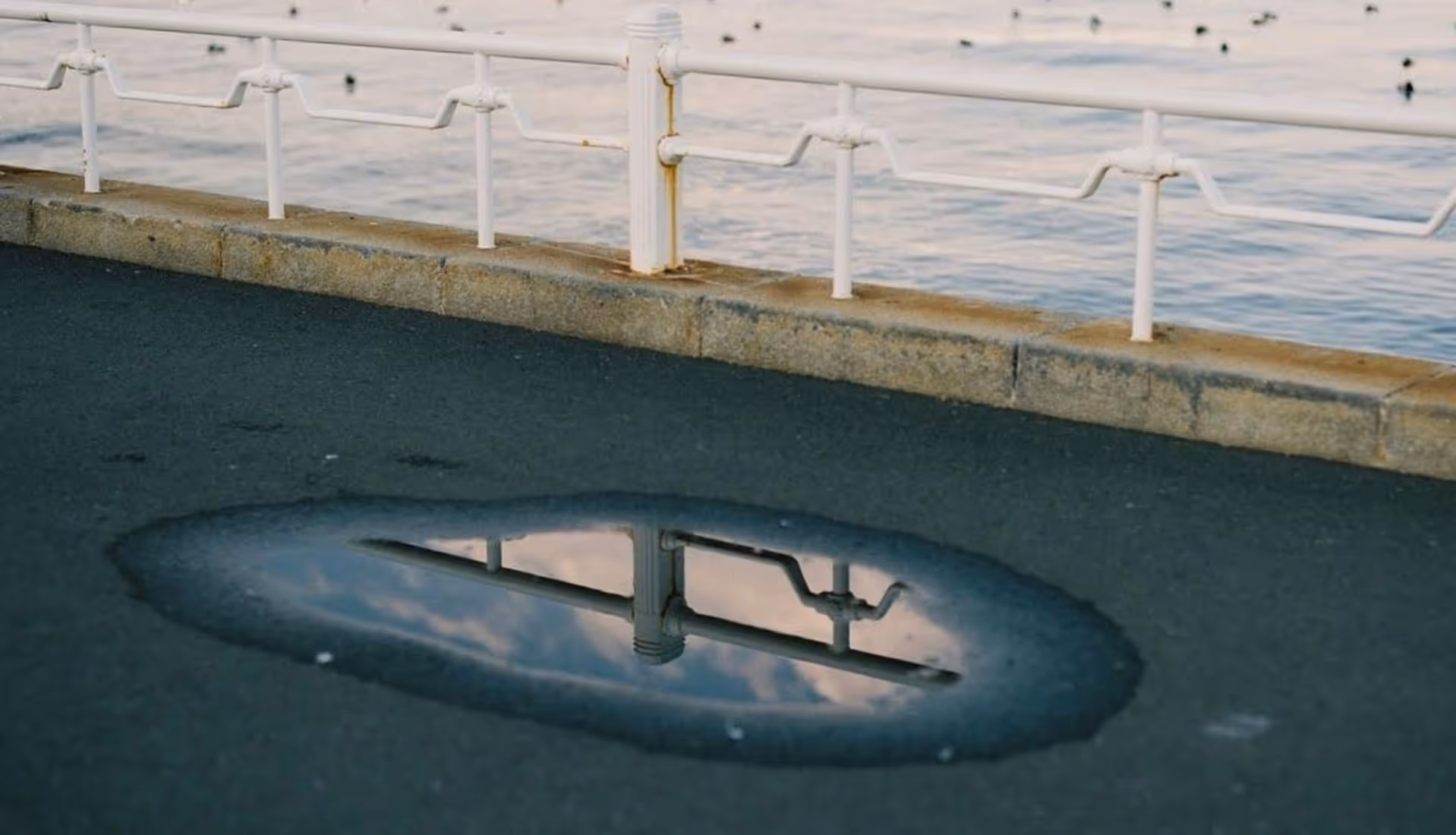 Puddle reflection by photographer Junichi Mae