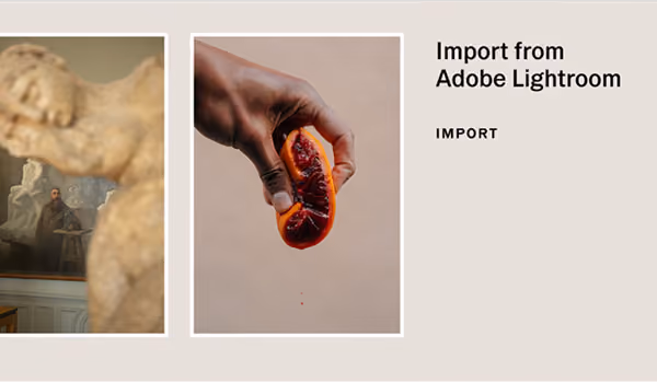 Adobe Lightroom e VSCO Web Studio