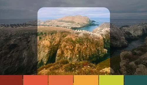 VSCO Capture camera app