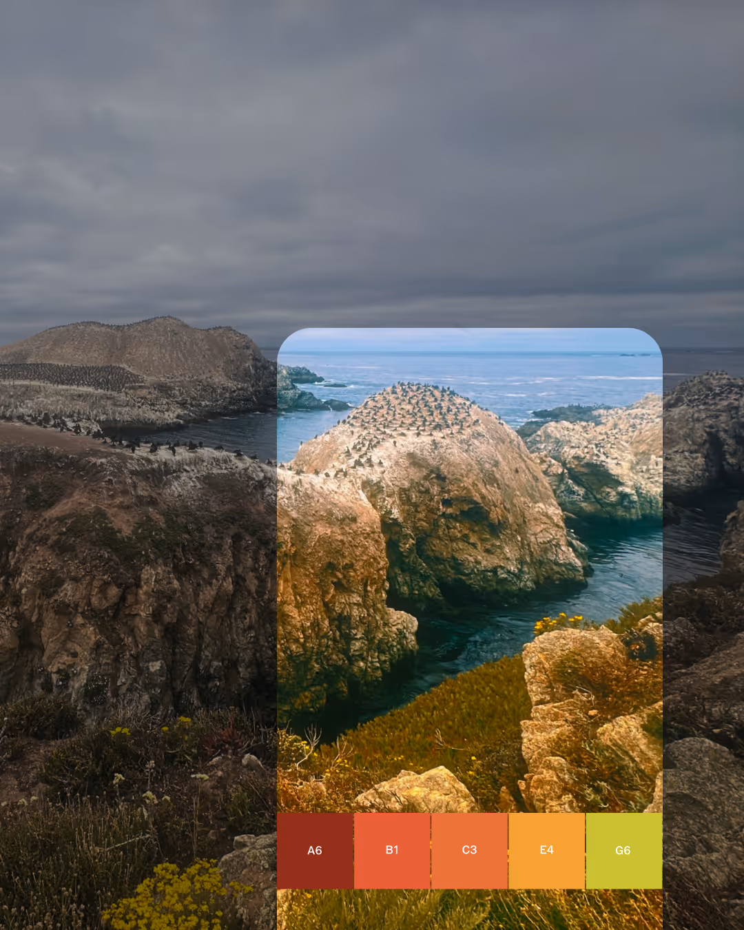 VSCO Capture Camera app for iPhone