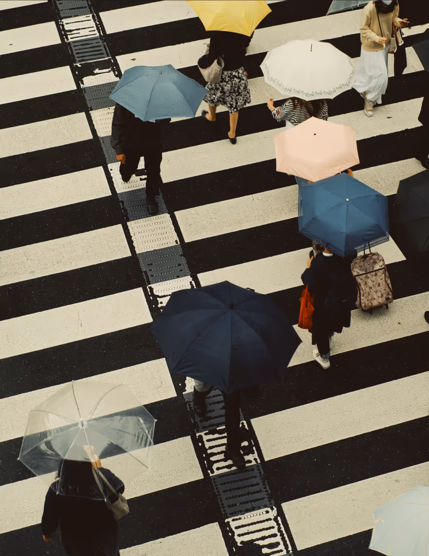 VSCO film presets